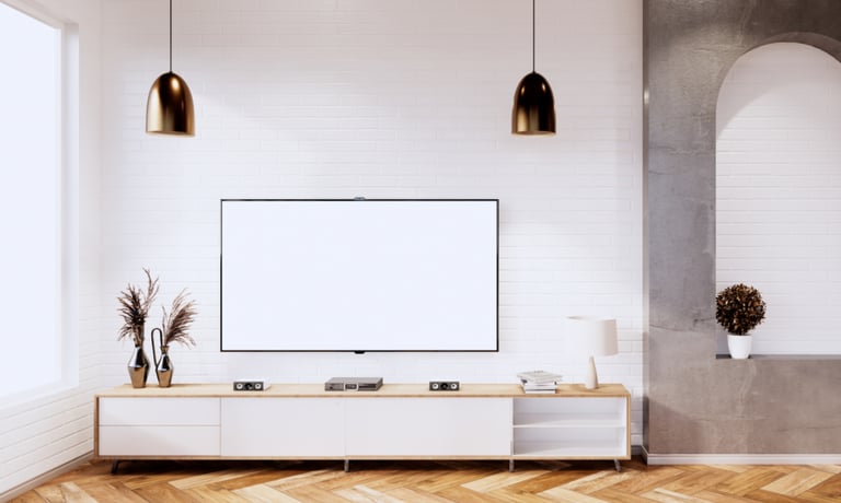 Budget Friendly TV Unit
