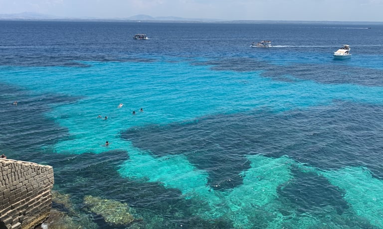cove bue marino