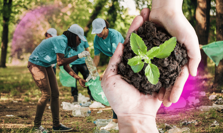 pessoas com uma planta nas mãos enquanto uma equipe de voluntários limpa um bosque