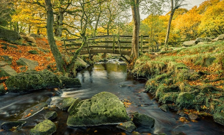 Padley Gorge
