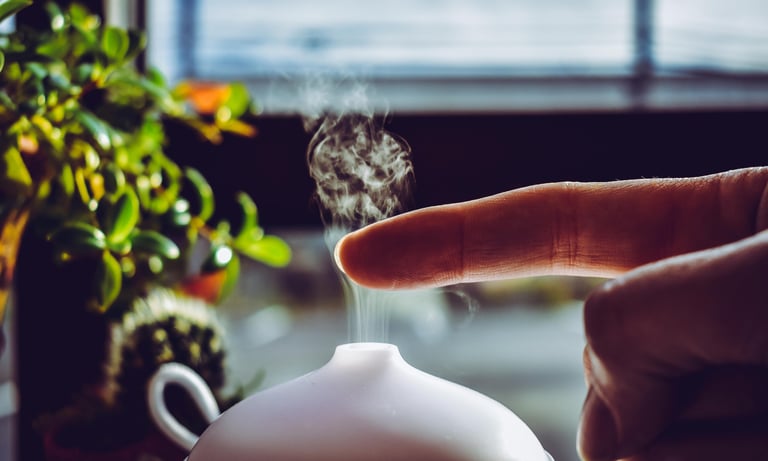 Humidifier helping to raise humidity for houseplants