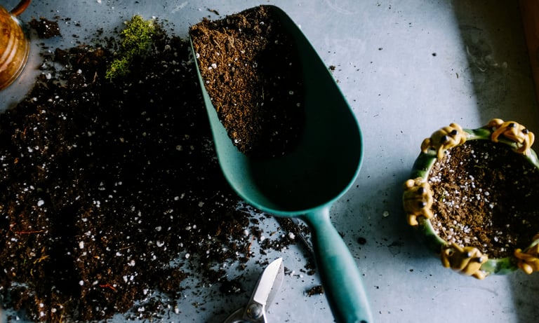 Houseplant soil with a scoop