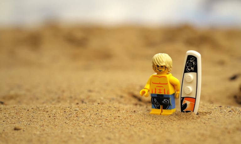 Lego banglentininkas ant smėlio, Palangoje