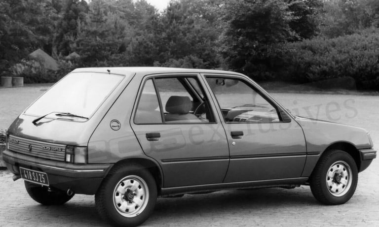peugeot 205 SRD