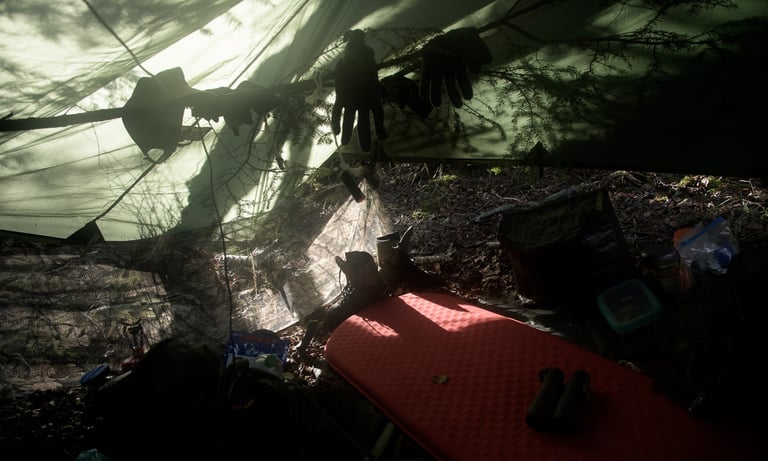 photo d'un bivouac lors d'affût photo animalière