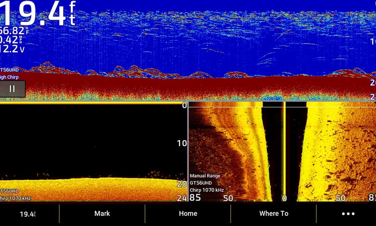 image sonar qui montrent des poissons en 2D, imagerie verticale (down imaging) et imagerie latérale