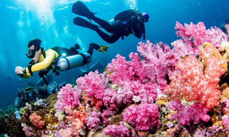 Diving in Tusa Vesna