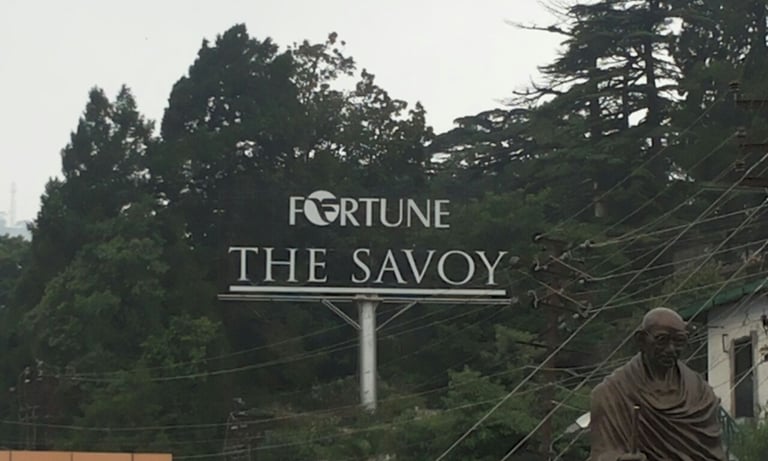 Innovative Sunboards for Indoor Displays