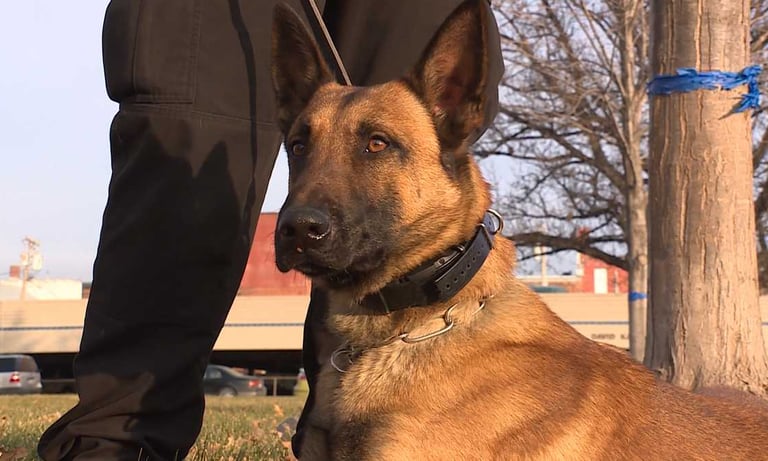 Matrix, K9 Sheriff Dog Dodge County Platte Valley Kennel Club donated support funds