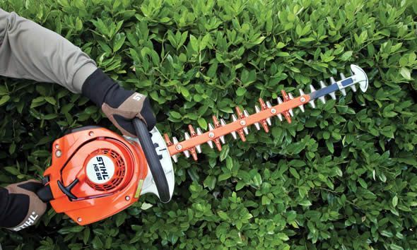 Jardinier Taille de haie Albi dans le Tarn 81