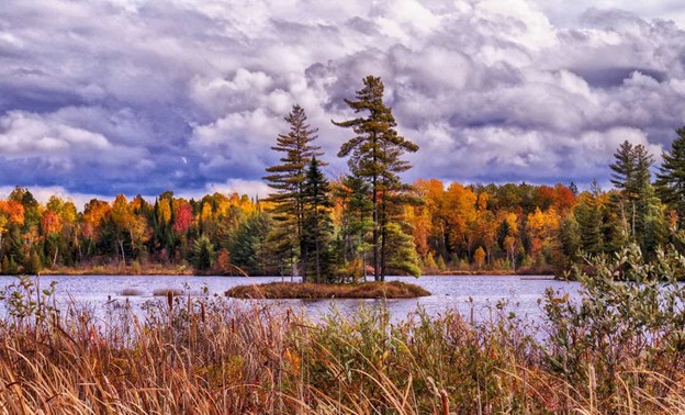 A small island observed in Ontario by Environmental Consultants at Aster Environmental.