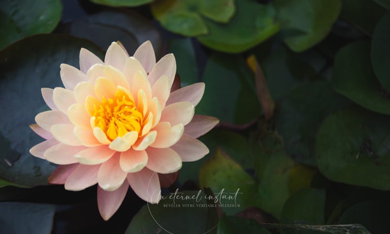 street photographie - photo de rue - un eternel instant - photographe portrait bas rhin