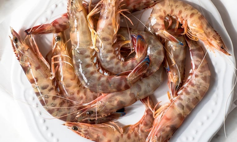 seafood food