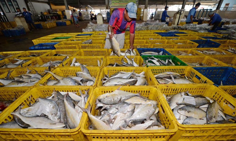 seafood supplier
