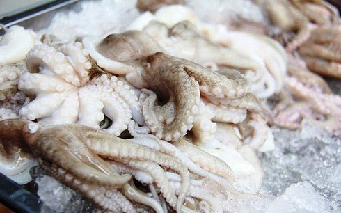 seafood