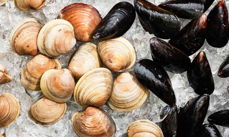 seafood