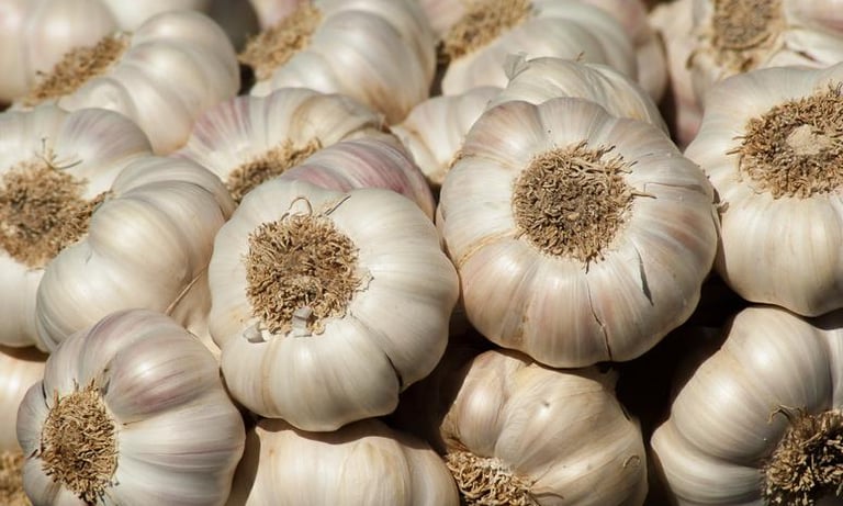 indonesian garlic