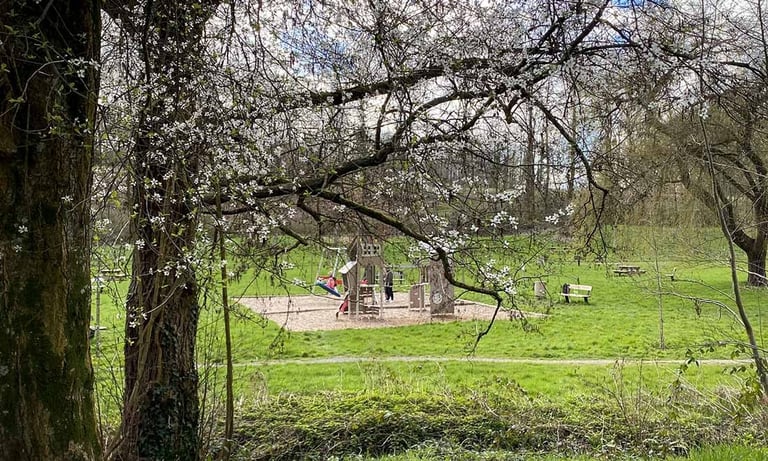 aire de jeu avec structure pour enfant, au milieu de la nature verdoyante