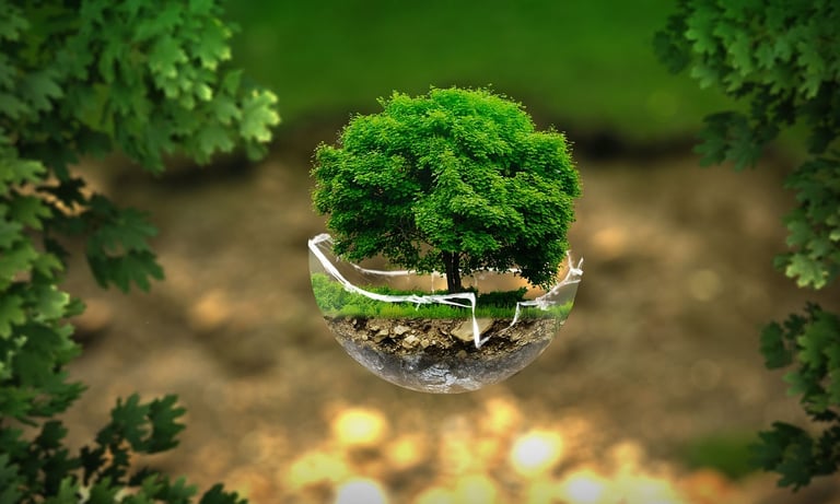 environmental management system (EMS)