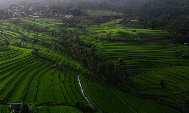 Photo of Jatiluwih Rice Terrace Bali Indonesia