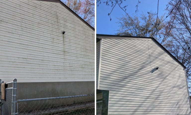 a House with mold and algae before and after soft washed 