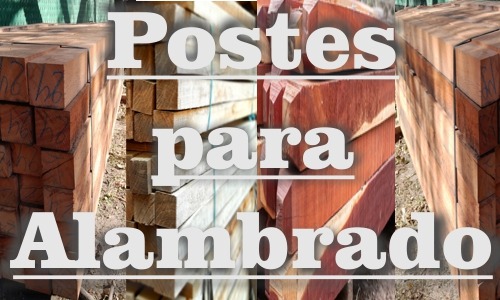 Postes de quebracho, eucaliptus duro, eucaliptus blando, postes tratados