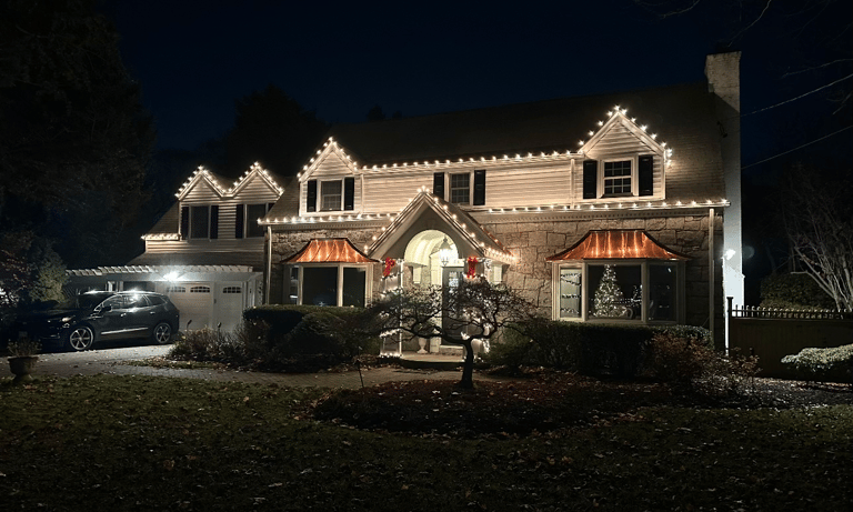 Professional Holiday Lighting