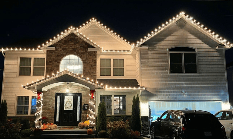 Professional Holiday Lighting