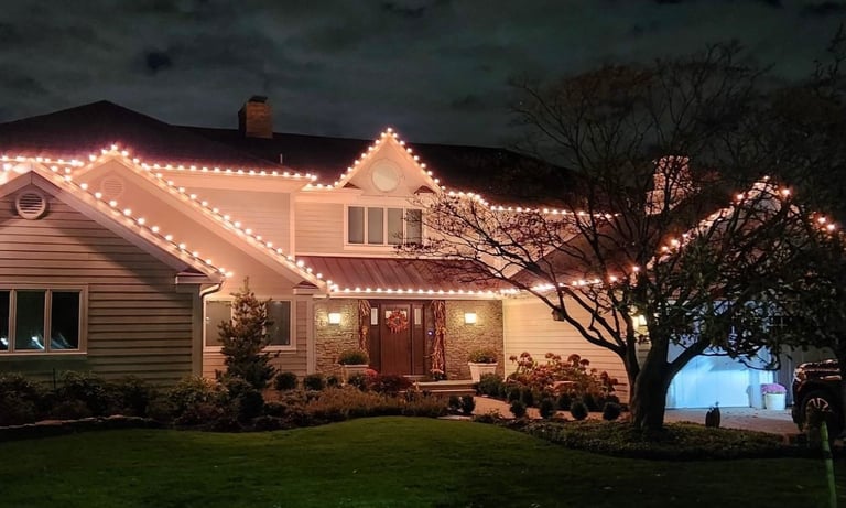 Professional Holiday Lighting