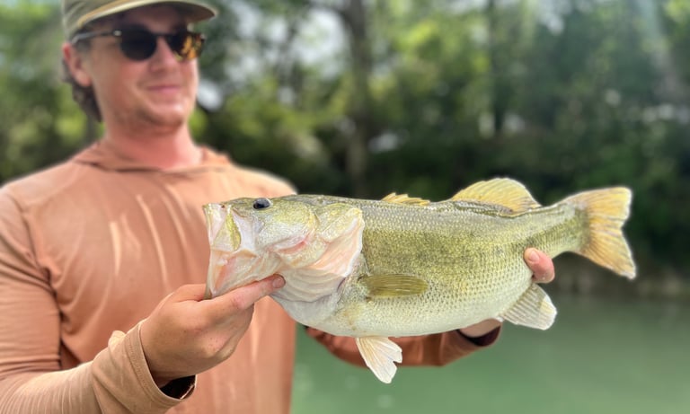 Largemouth Bass
