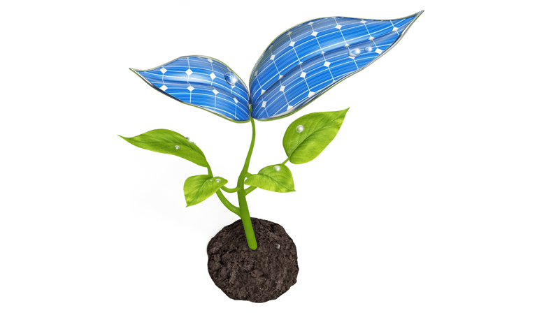 panneaux photovoltaïques écologie
