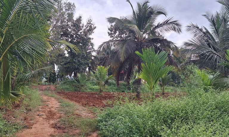 Farmland of 3 Acres 27 Guntas for sale near Maralawadi, Off kanakapuara Road, Near Harohalli.