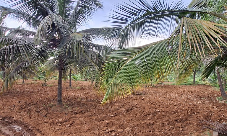 Farmland of 3 Acres 27 Guntas for sale near Maralawadi, Off kanakapuara Road, Near Harohalli.