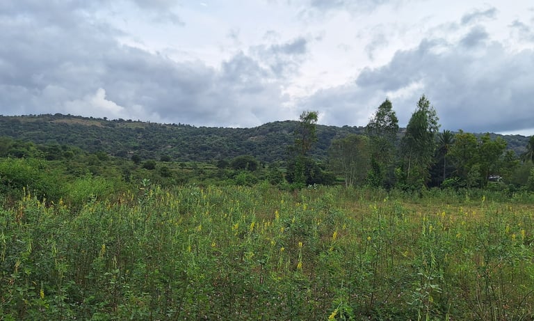 Agricultural land of 1 Acres 30 Guntas for sale near Maralawadi, Near Harohalli, off kanakapura road