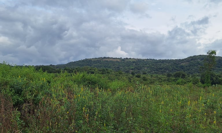 Agricultural land of 1 Acres 30 Guntas for sale near Maralawadi, Near Harohalli, off kanakapura road