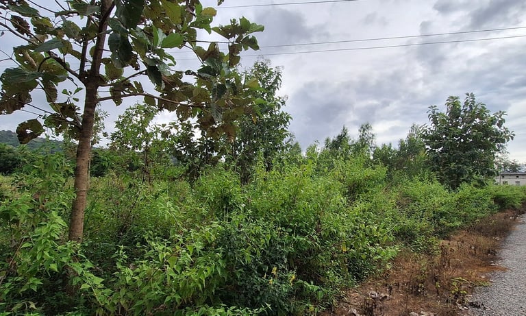 Farmland / Agricultural land of 1 Acres 18 Guntas for sale near Maralawadi, Off kanakapuara Road, Ne