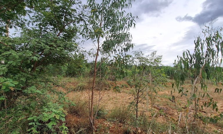 Agricultural land of 2 Acres 20 Guntas for sale near Maralawadi,Off kanakapuara Road, Near Harohalli