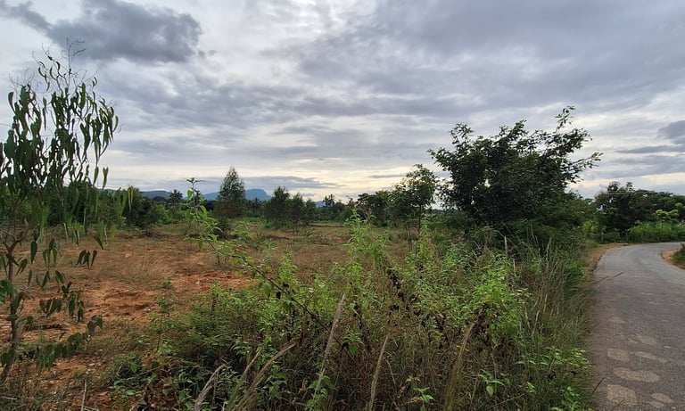 Agricultural land of 2 Acres 20 Guntas for sale near Maralawadi,Off kanakapuara Road, Near Harohalli