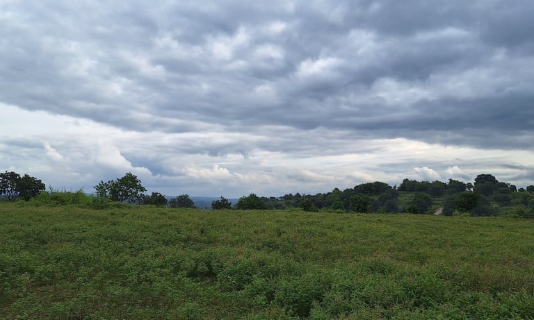 Agricultural land of 2 Acres for sale near Maralawadi, Off kanakapuara Road, Near Harohalli