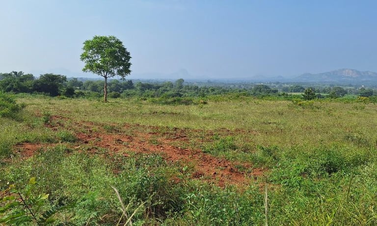 20 acres farmland / agricultural land for sale near kanakapura