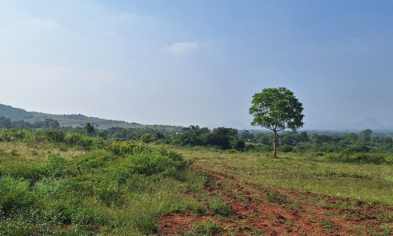 20 acres farmland / agricultural land for sale near kanakapura