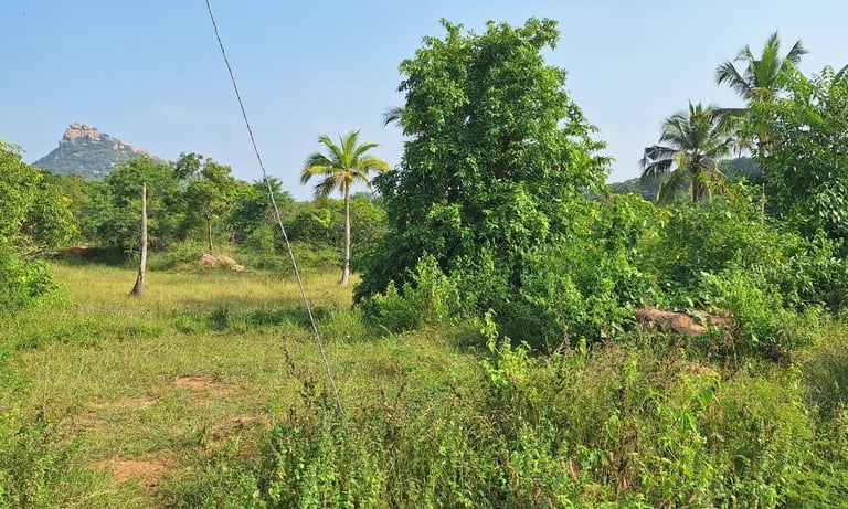 18acres agricultural land / farmland for sale near Kanakapura