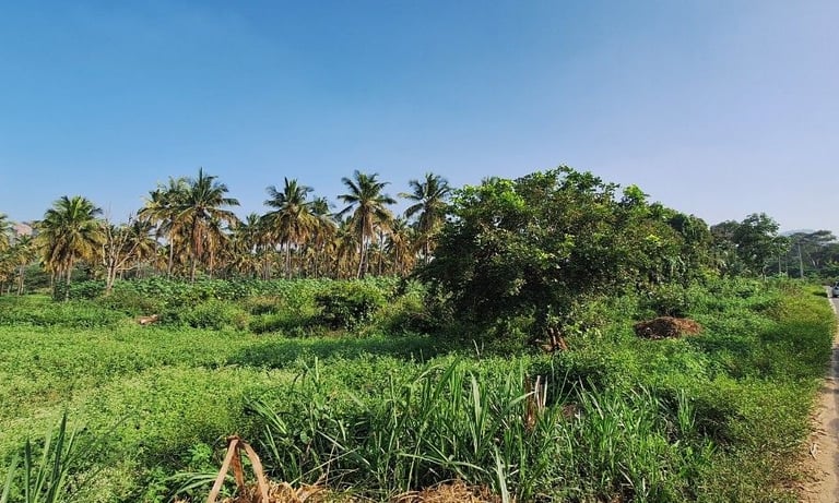 Agricultural land / farmland of 18 Acres sale near Kanakapura