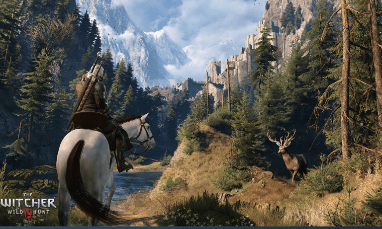 the amazing world of Witcher 3