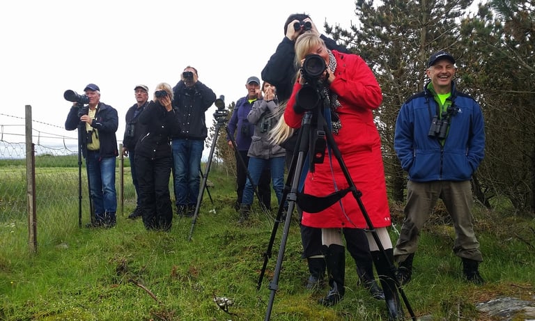 Happy twitchers getting great views of the Trumpeter Finch minutes after its rediscovery.