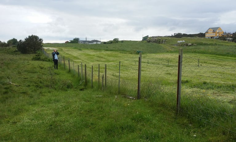 The white patch behind the birder was a favorite spot for the bird.