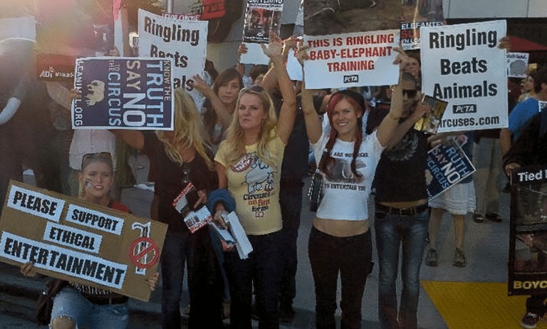 Lacey Sculls (née Conner) and other animal rights activists protesting animal cruelty at the circus