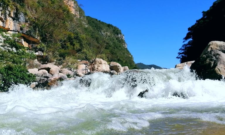 A waterfall in the El Ocote Biosphere Reserve in Chiapas on a Sabes Aves jungle birding trip