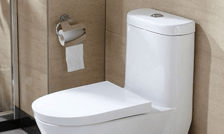 desentupimento de vaso