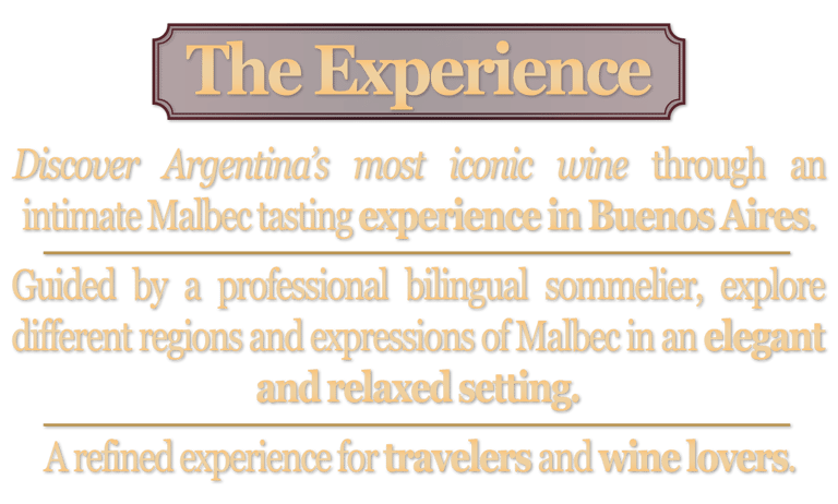The Experience section – Aureo Malbec intimate wine tasting in Buenos Aires led by a bilingual sommelier